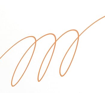 Amazon | 三菱鉛筆 ペイントマーカー 中字 橙 10本 PX20.4